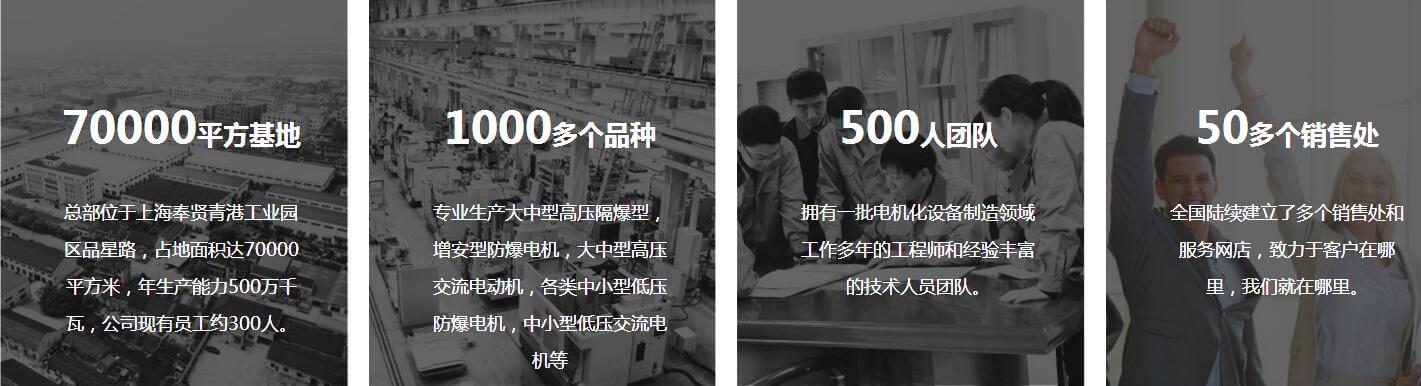 品星電機(jī):優(yōu)質(zhì)品牌追求卓越 品星電機(jī):優(yōu)質(zhì)品牌追求卓越