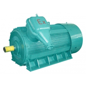 YB2系列-高壓防爆型三相電動(dòng)機(jī)